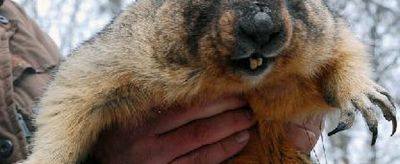 украинский