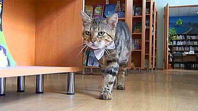 библиотека