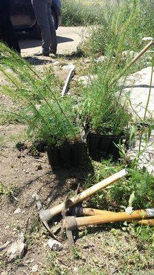 иерусалима