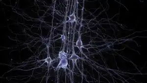 «Нейроны свободомыслия»