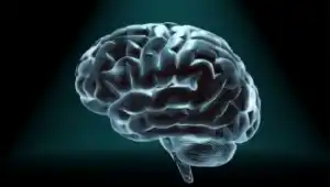 Мозг человека постоянно