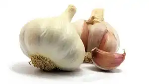 Чеснок – лучшая приправа