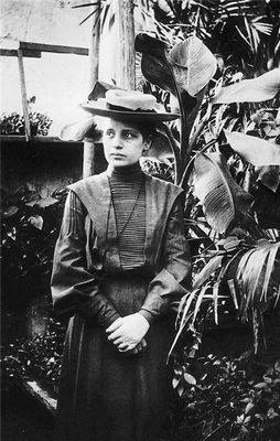 университет университет