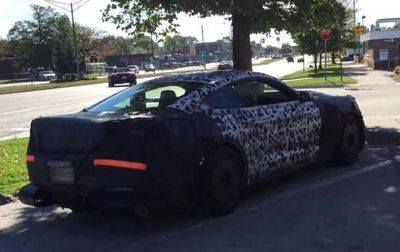 mustang mustang