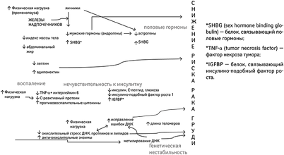 удовлетворение