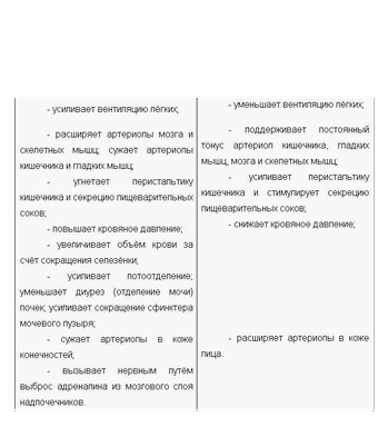мозговой мозговой