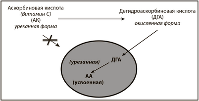 витамин витамин