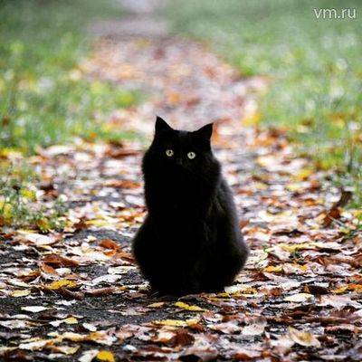 пластмасса