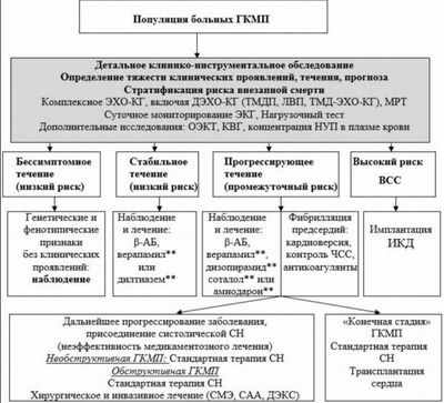 Ранняя профилактическая терапия полезна при гипертрофической кардиомиопатии