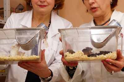 Новые модели животных точно воспроизводят опухоль каждого пациента