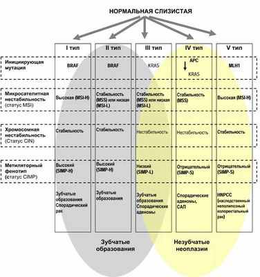 Жидкая биопсия выявляет мутации колоректального рака, не обнаруженные при биопсии ткани