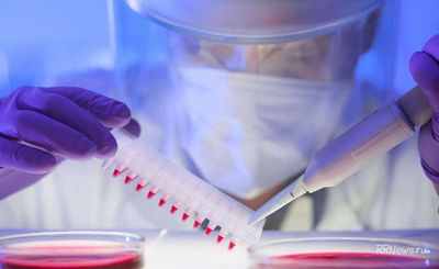 Открытие открывает дверь к новой стратегии иммунотерапии рака