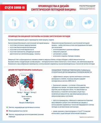 Открытие нового класса лейкоцитов раскрывает цель для улучшения дизайна вакцины