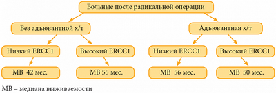 Пациенты с немелкоклеточным раком легкого улучшают выживаемость при приеме дурвалумаба