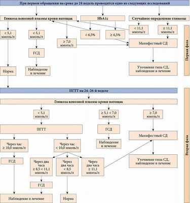 Уровень триглицеридов значительно повышен у женщин с ГСД