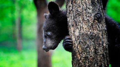 автомобиль