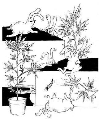 берлускони