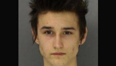 лучшие сорта