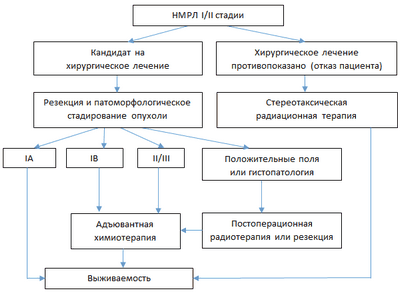 Гистологическая классификация влияет на лечение SBRT у пациентов с раком легкого на ранней стадии