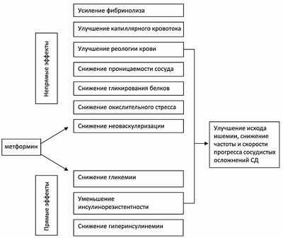 Метформин первой линии для лечения СД; использование сульфонилмочевины вниз Метформин первой линии для лечения СД; использование сульфонилмочевины вниз