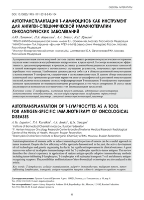 Возрождение Т-клеток коррелирует с ответом рака легких на иммунотерапию PD-1