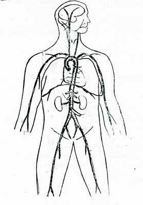 Путь PUMA - слабое звено в метастазировании рака груди
