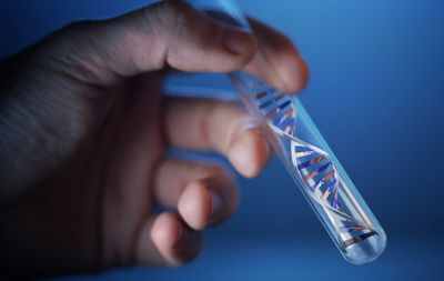 Высокая точность: ДНК-вакцины, предназначенные для DC, более эффективны