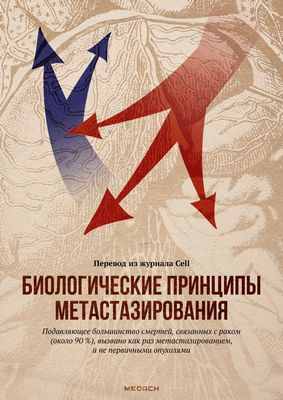 Модель на мышах показывает, что активация Notch может вызывать метастатический рак простаты